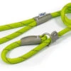 Ancol Viva Lime Reflective Slip Lead 1.5m -Pro Tool Hub ANC0048 93563.1681156716