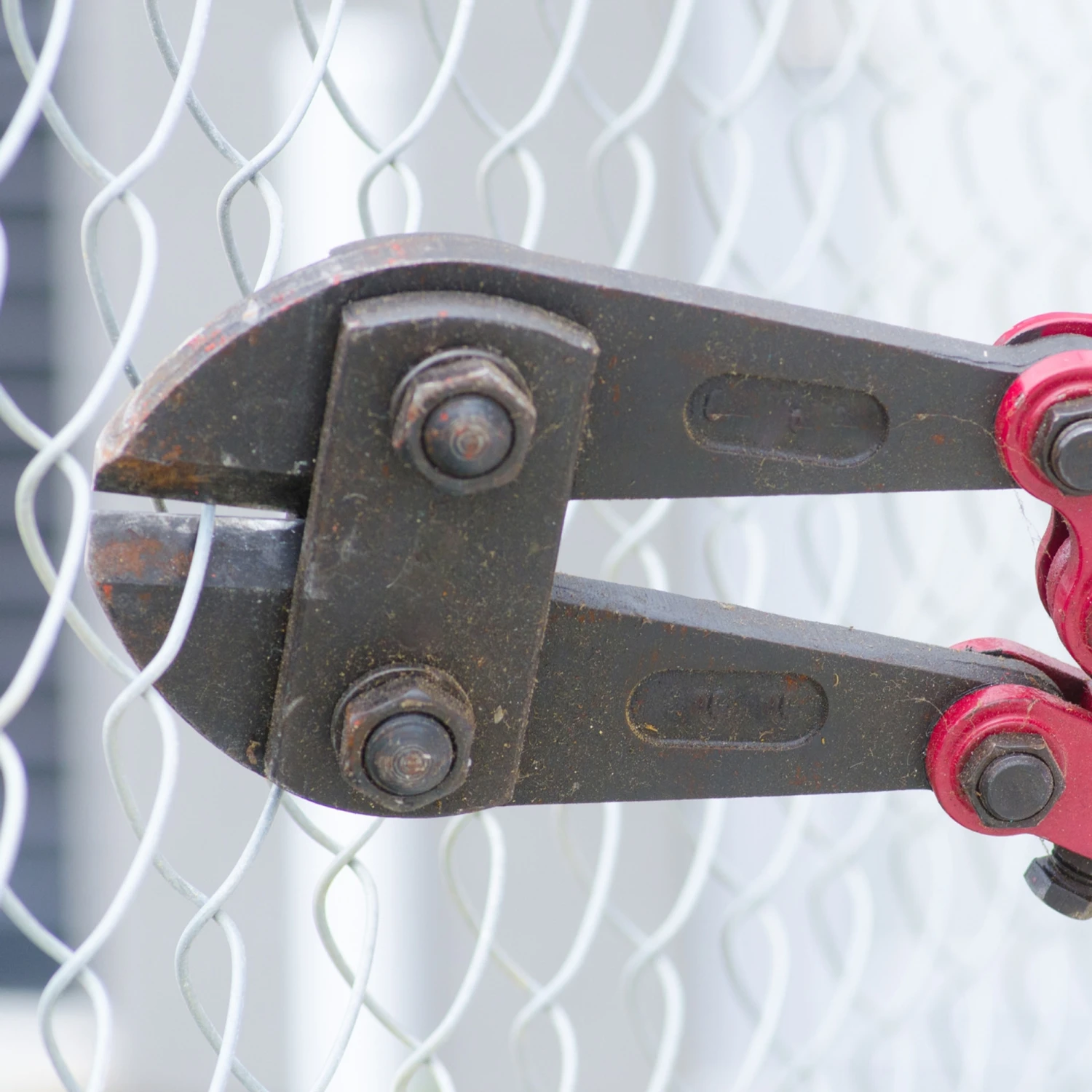 Dekton 610mm Bolt Cutters 6 Dekton 610mm Bolt Cutters - Image 4