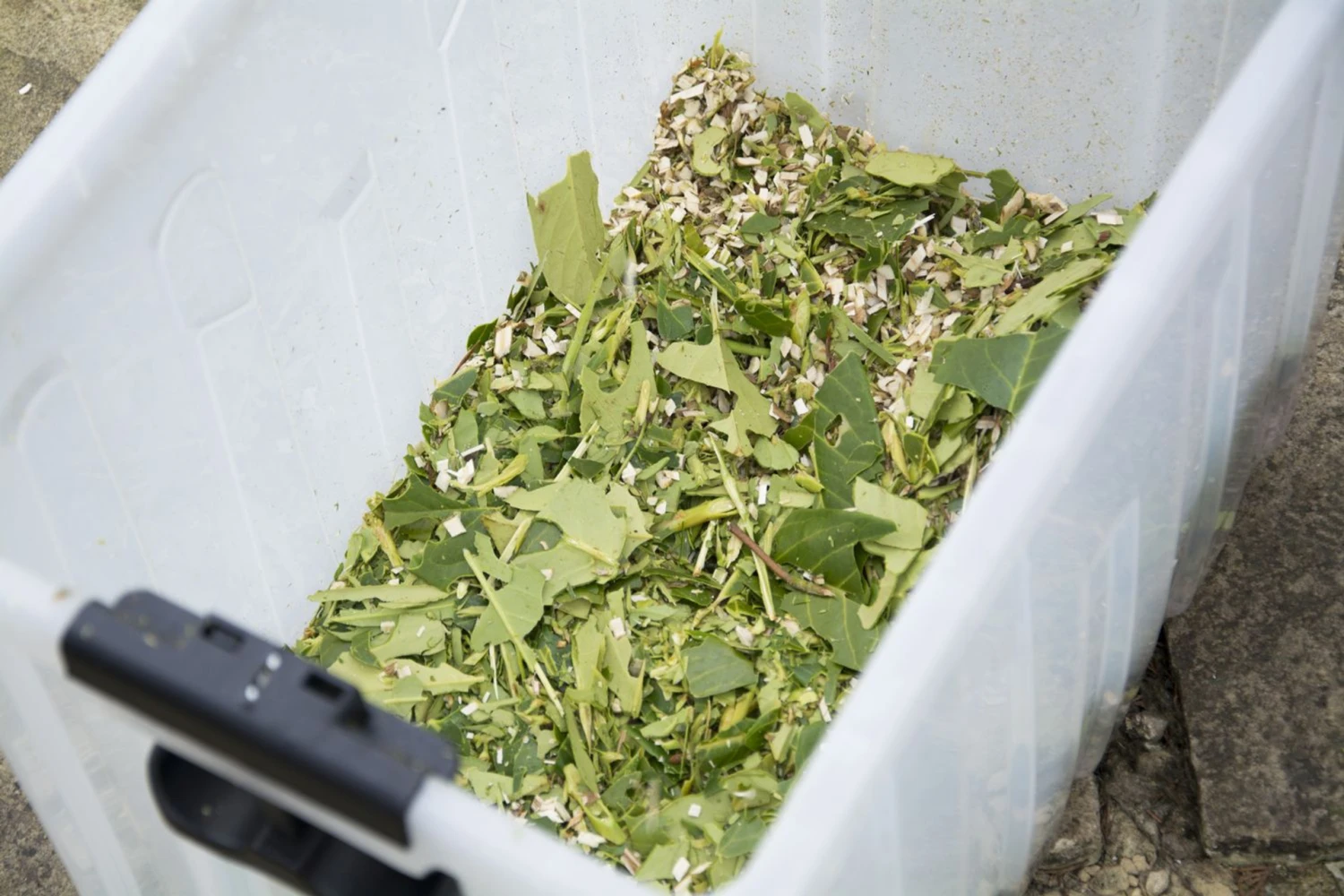 Handy Impact Shredder 10 Handy Impact Shredder - Image 8