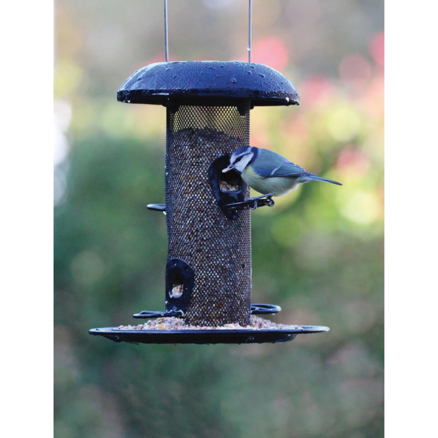 Henry Bell Seed Feeder (WildBirds) Steel 4 Henry Bell Seed Feeder (WildBirds) Steel - Image 2