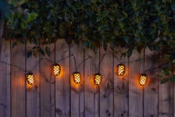 Smart Garden Cool Flame 10 String Lights -Pro Tool Hub SMA0040 2 49666.1684943123