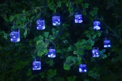 Smart Garden Firegly Opal Jar String Lights (10) 8 Smart Garden Firegly Opal Jar String Lights (10) -Pro Tool Hub SMA0061 2 80942.1684943038