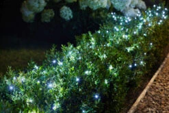 Smart Garden 100 LED Solar String Lights Cool White -Pro Tool Hub SMA0063 1 59094.1684314762