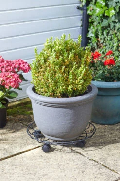 Smart Garden Titan Pot Caddy 40cm -Pro Tool Hub SMA0124 1 47684.1681162995