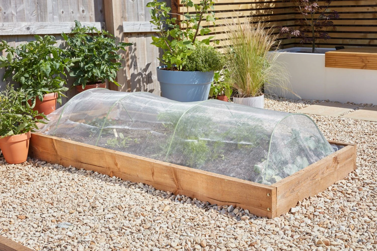 Smart Garden Insect Guard For Carrot Fly 4 Smart Garden Insect Guard For Carrot Fly - Image 2