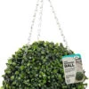 Smart Garden Topiary Ball Box Leaf 30cm -Pro Tool Hub SMA0580 55493.1681163081