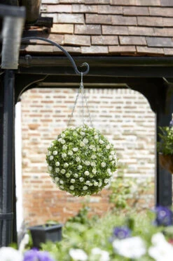 Smart Garden Topiary Ball White Rose 30cm -Pro Tool Hub SMA0584 2 41588.1681163086