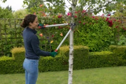 Wilkinson Bypass Lopper 740mm 7 Wilkinson Bypass Lopper 740mm -Pro Tool Hub WLS0035 2 28489.1681164266