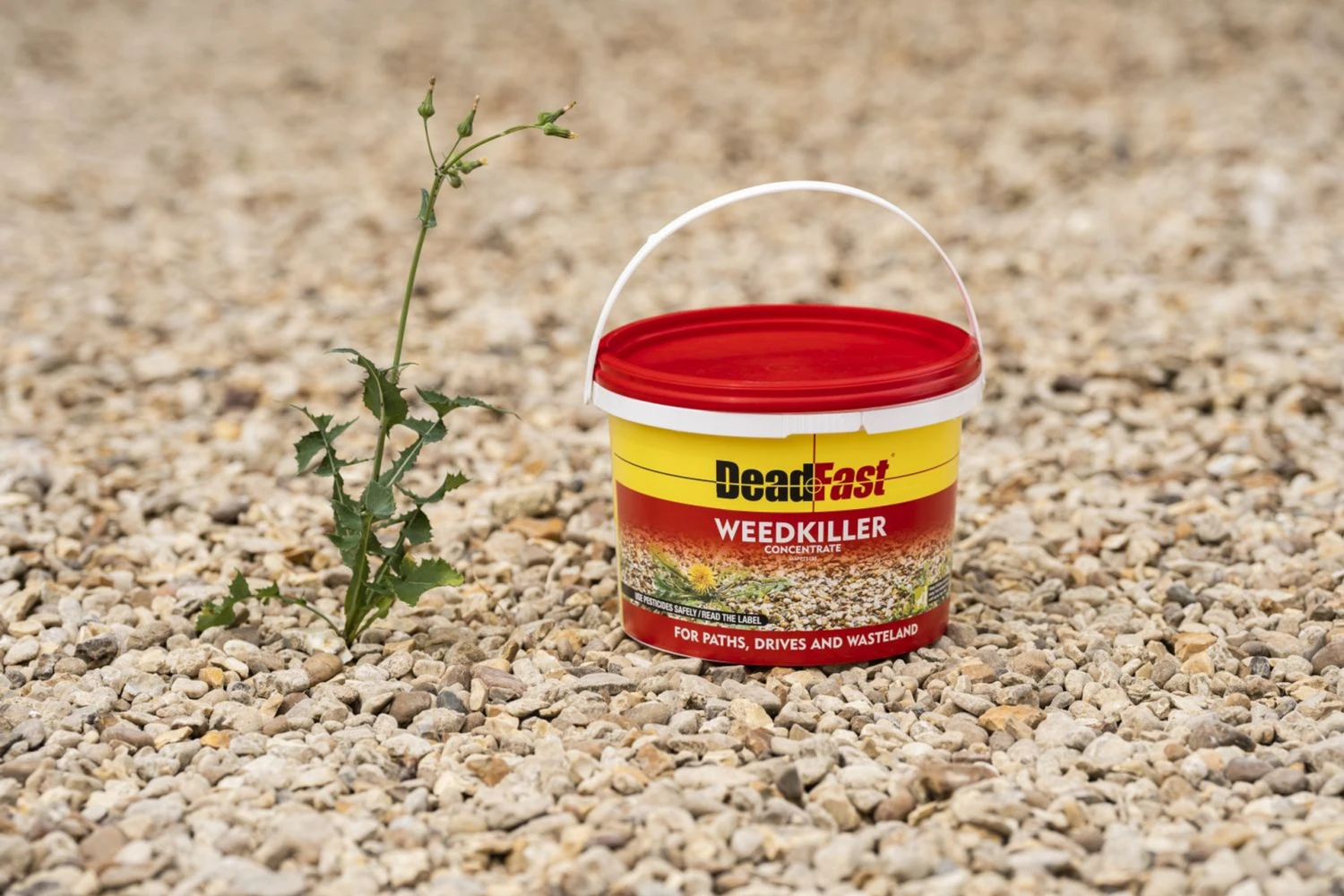 Deadfast Weedkiller 12 Sachet 4 Deadfast Weedkiller 12 Sachet - Image 2